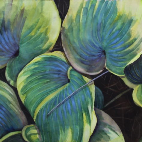 Hostas
22x30